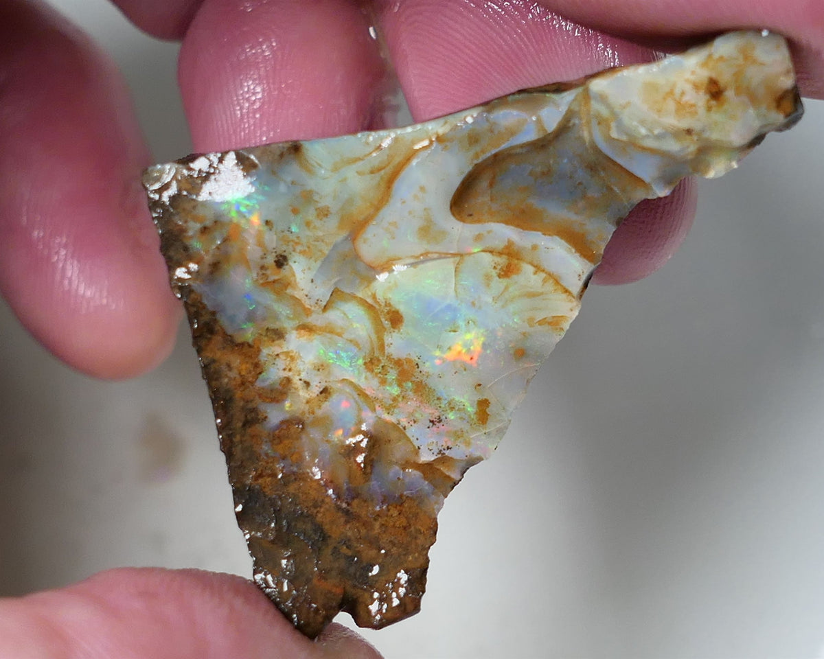 Queensland Boulder Matrix opal cts rough Koroit Multifires showing on the face 38x30x14mm 0530