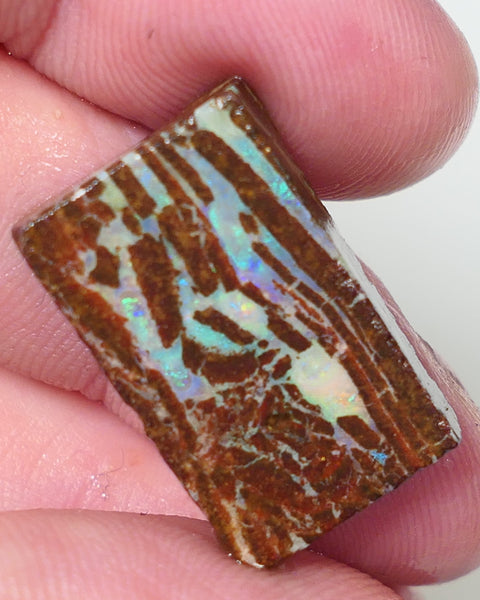 Queensland Boulder Matrix opal 20cts rough / slice Koroit Blues fires in the veins 25x13x5mm 0536