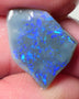 Lightning Ridge Opal Dark Base Seam Rough Rub 4.2cts Gorgeous Display of Greens & blues 15x11x3mm 0539