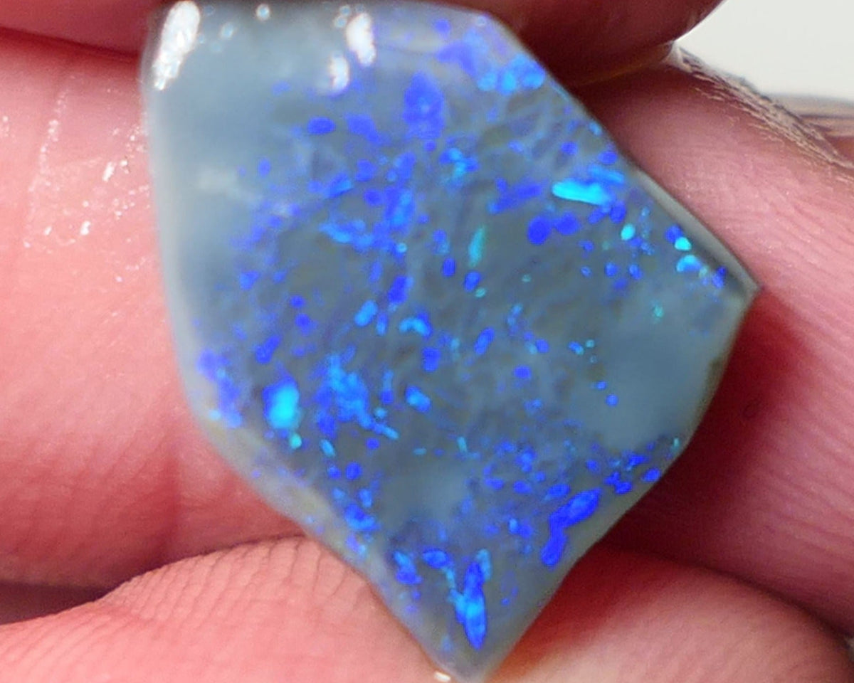 Opal Fever Mate Auction