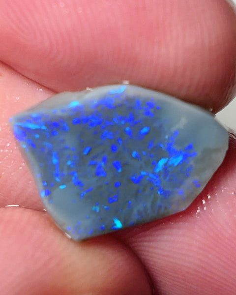 Lightning Ridge Opal Dark Base Seam Rough Rub 4.2cts Gorgeous Display of Greens & blues 15x11x3mm 0539