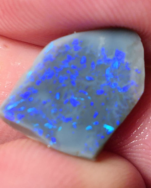 Lightning Ridge Opal Dark Base Seam Rough Rub 4.2cts Gorgeous Display of Greens & blues 15x11x3mm 0539