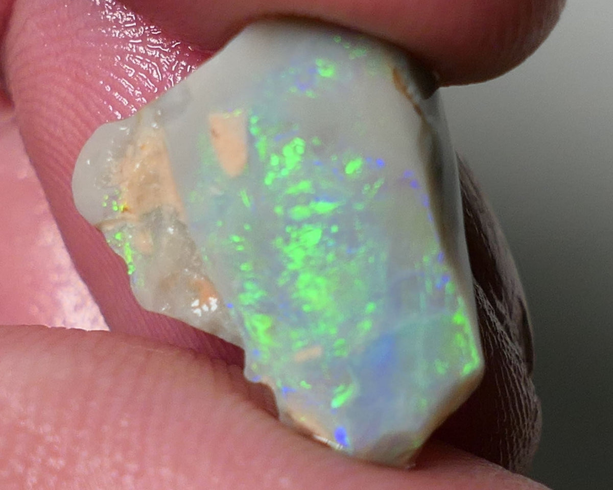 Lightning Ridge Opal Dark Base Seam Rough Rub 4.75cts Gorgeous Display of Bright Multifires 15x11x3mm 0541