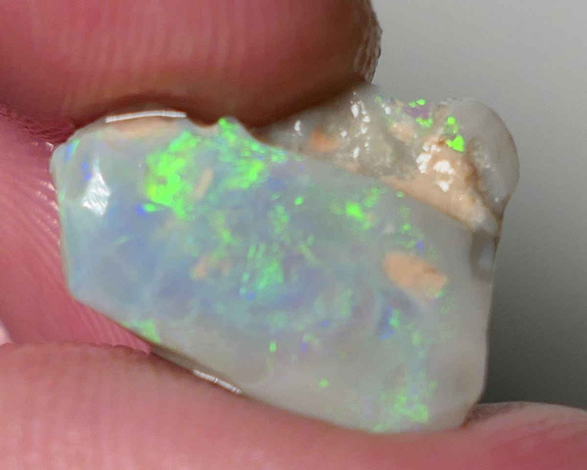 Lightning Ridge Opal Dark Base Seam Rough Rub 4.75cts Gorgeous Display of Bright Multifires 15x11x3mm 0541