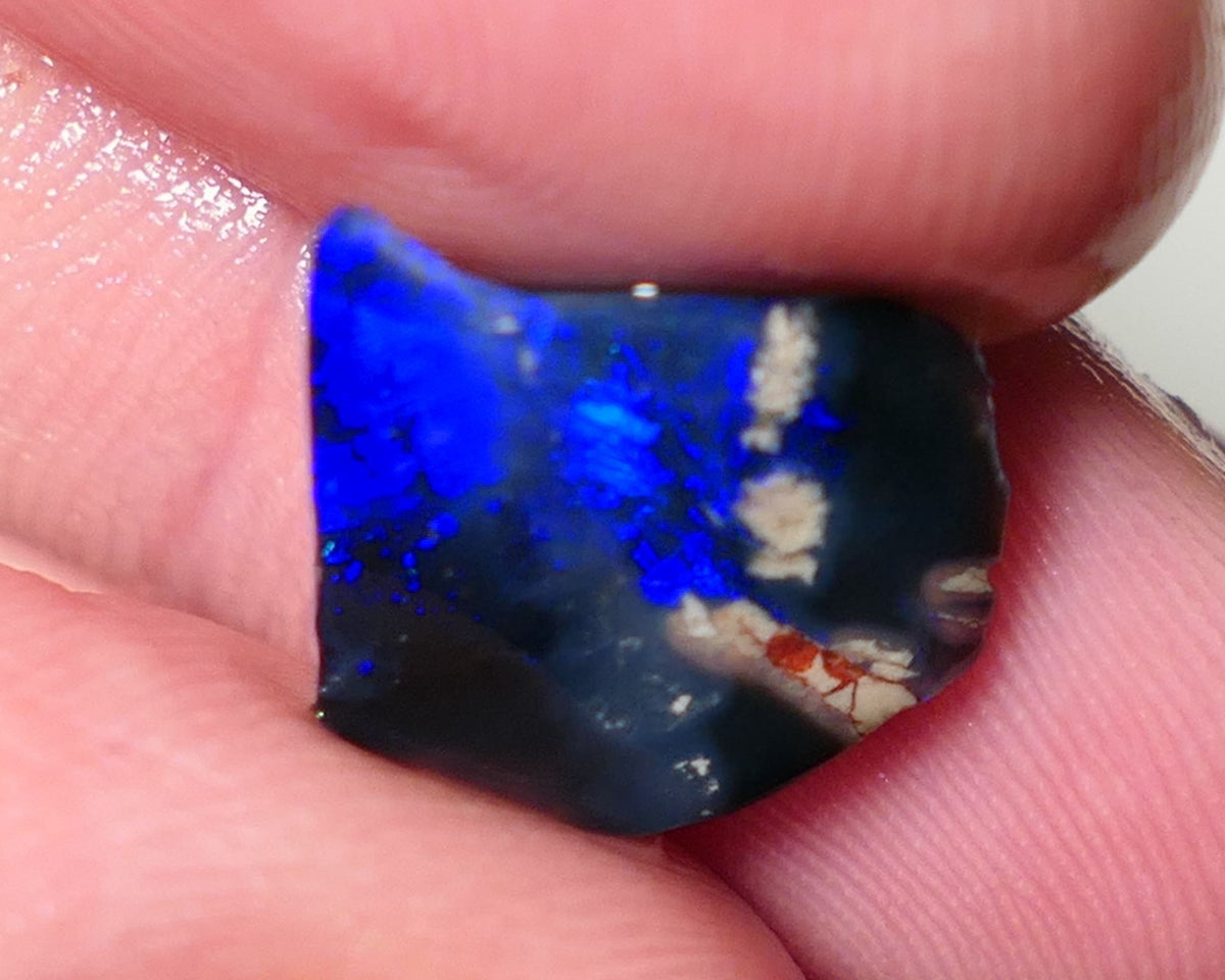 Lightning Ridge Opal Black Base Seam Rough Rub 3.5cts Electric Display of Super Super Bright Blues 13x11x4mm 0542