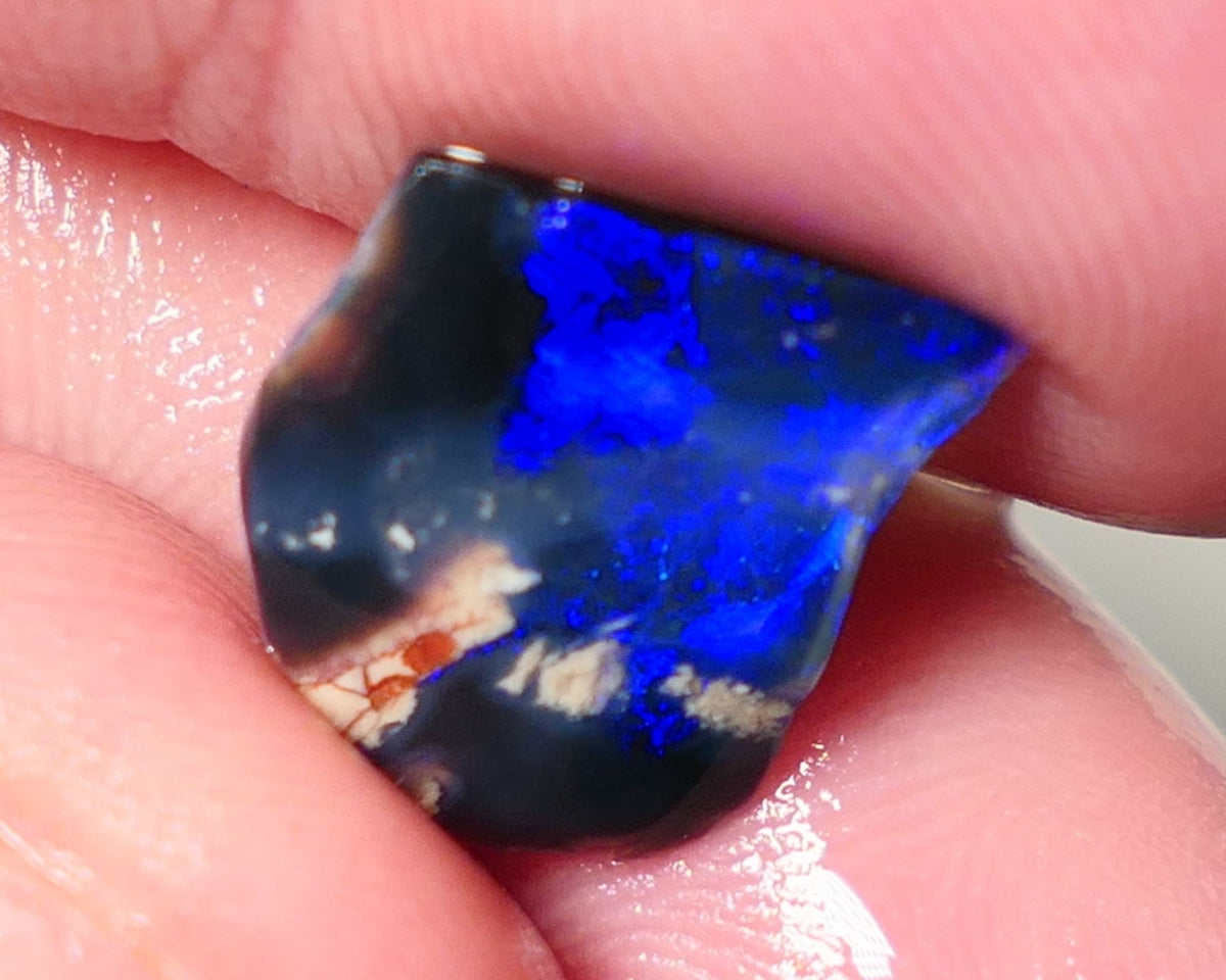 Lightning Ridge Opal Black Base Seam Rough Rub 3.5cts Electric Display of Super Super Bright Blues 13x11x4mm 0542