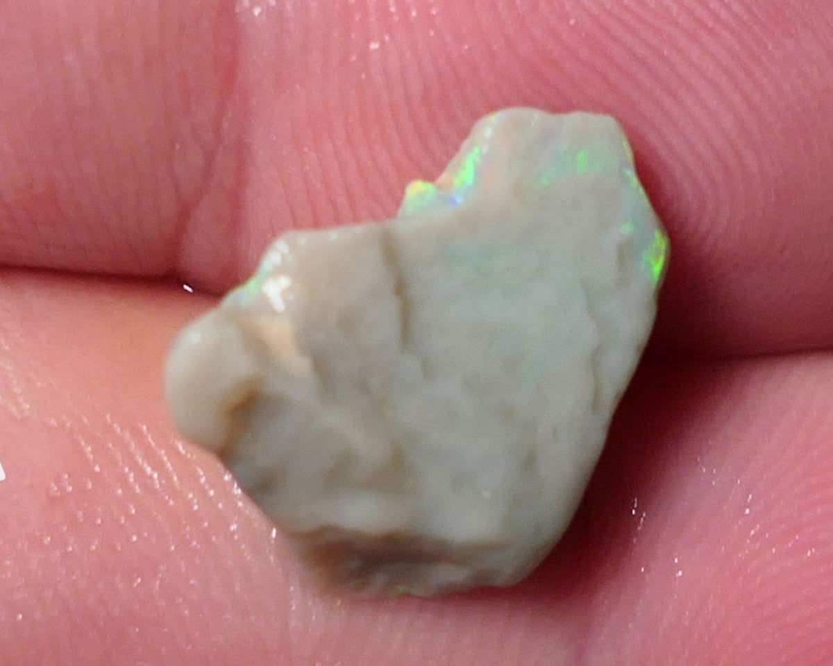 Lightning Ridge Opal Dark Base Seam Rough Rub 4.75cts Gorgeous Display of Bright Multifires 15x11x3mm 0541