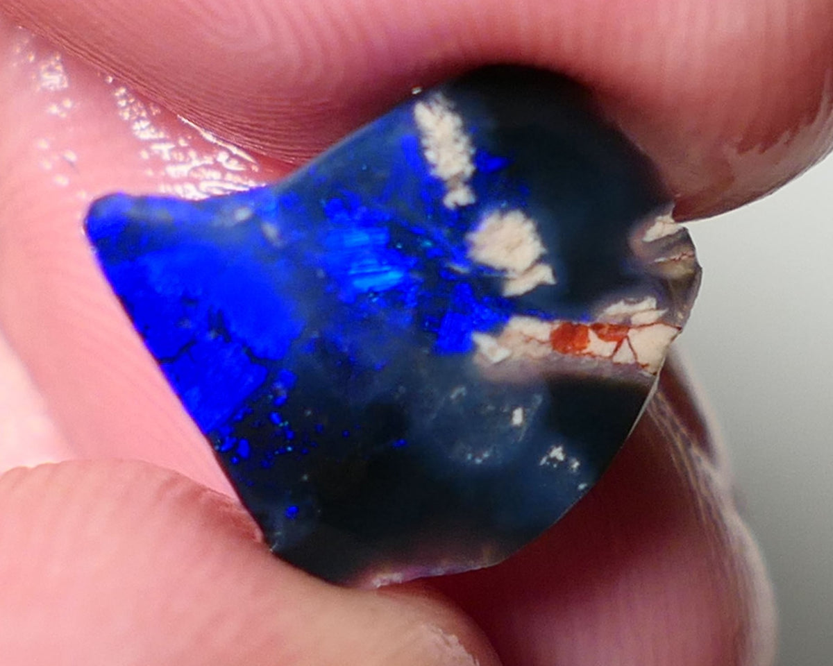 Lightning Ridge Opal Black Base Seam Rough Rub 3.5cts Electric Display of Super Super Bright Blues 13x11x4mm 0542