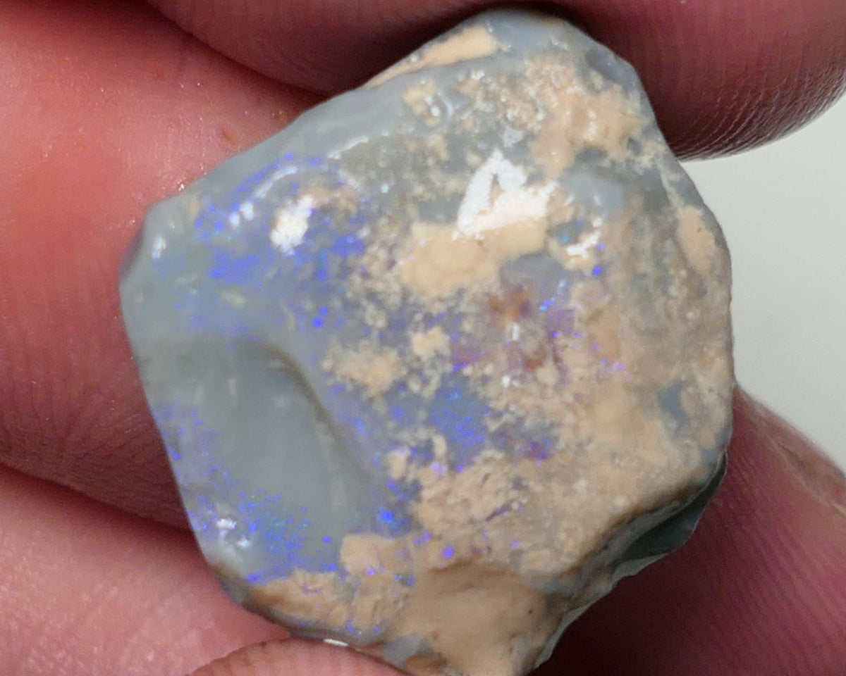 Lightning Ridge Rough Opal 22cts Dark Base Seam showing Lots Blues in the bar 20x19x9mm 0559