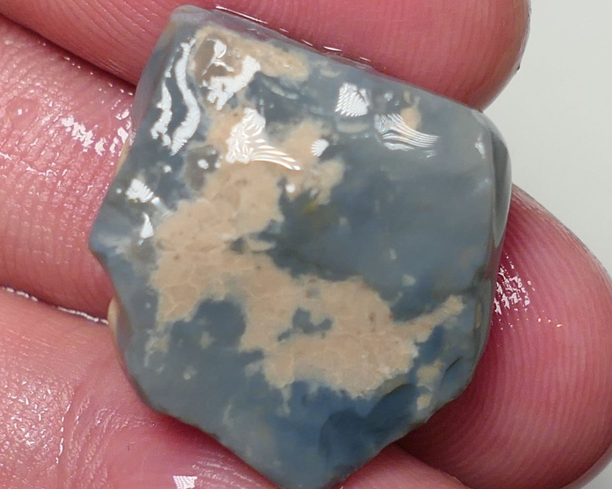 Lightning Ridge Rough Opal 22cts Dark Base Seam showing Lots Blues in the bar 20x19x9mm 0559