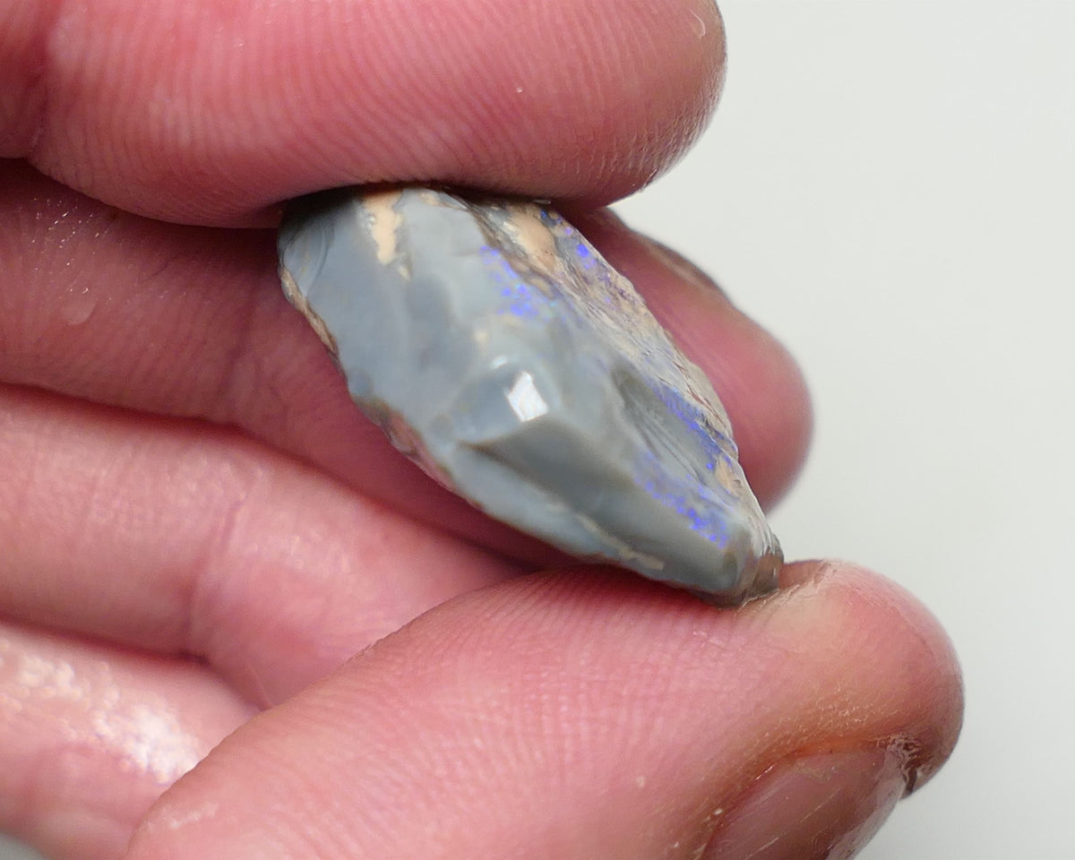 Lightning Ridge Rough Opal 22cts Dark Base Seam showing Lots Blues in the bar 20x19x9mm 0559