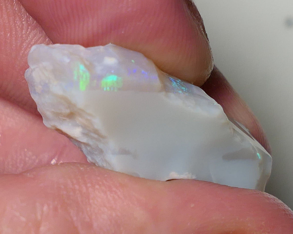 Opal Fever Mate Auction