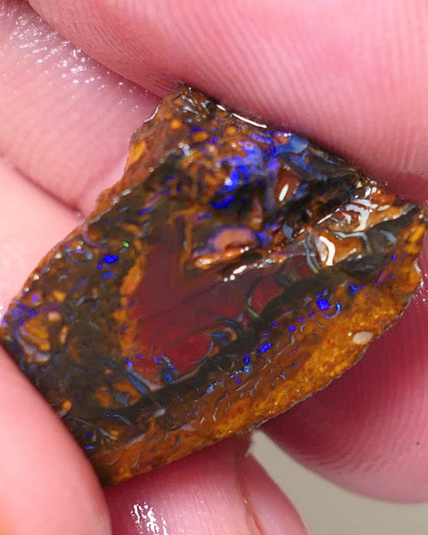 Queensland Boulder Matrix opal 25cts rough Koroit Blues fires in the veins 23x15x12mm 0602