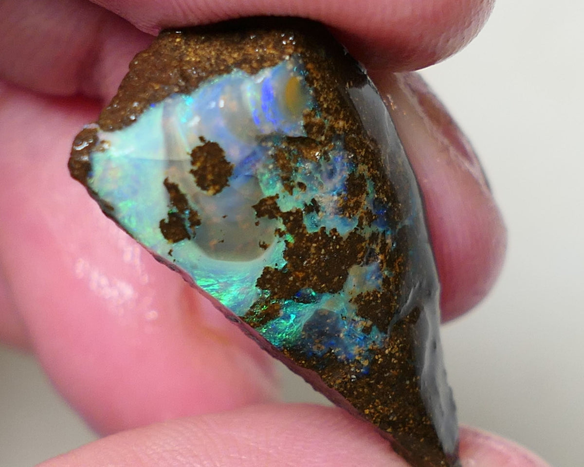 Queensland Boulder opal 19cts rough / rub Koroit Faced with Blue Yellow & Green fires 30x15x7mm 0603