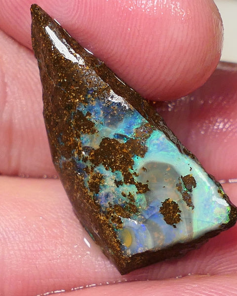 Queensland Boulder opal 19cts rough / rub Koroit Faced with Blue Yellow & Green fires 30x15x7mm 0603