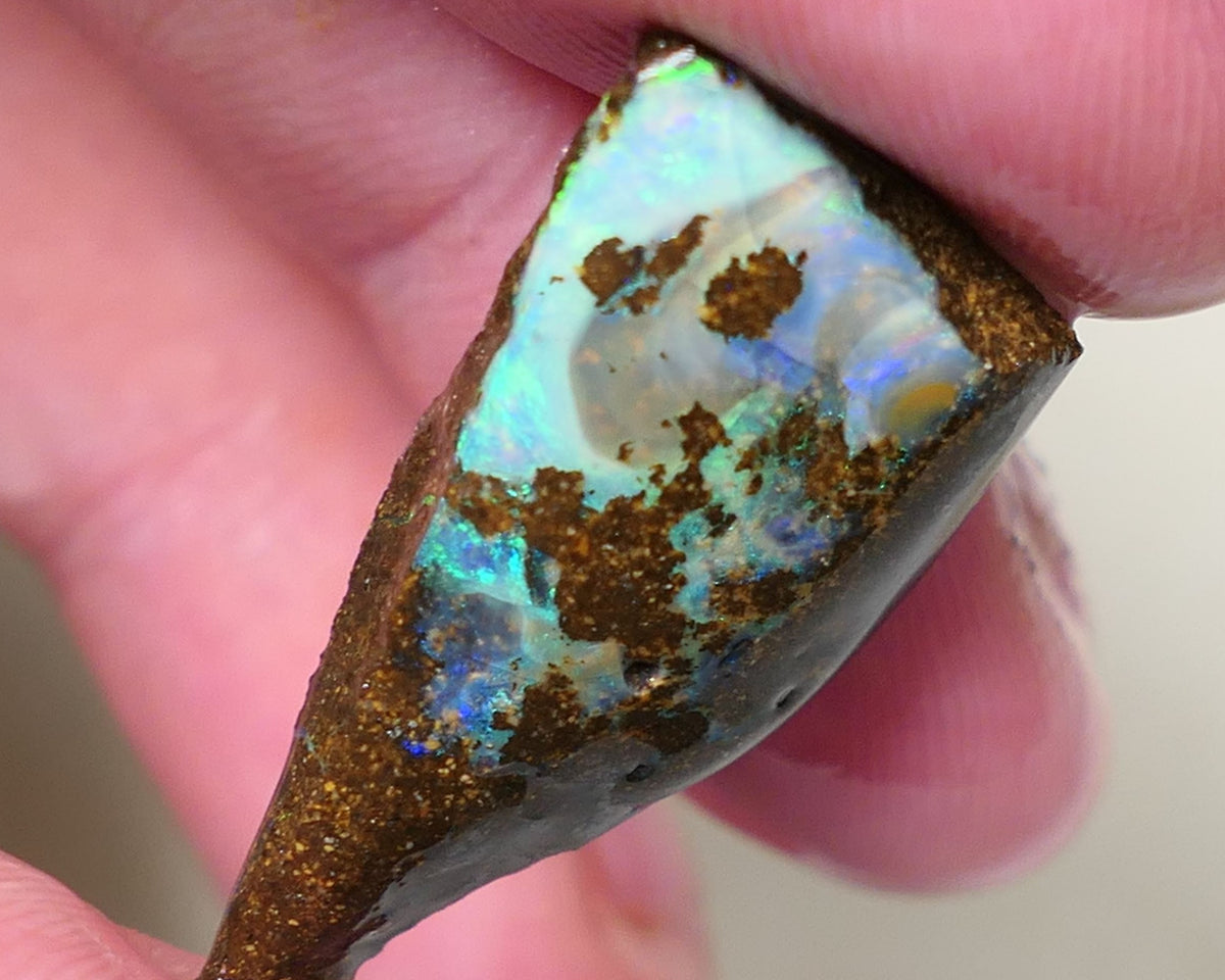 Queensland Boulder opal 19cts rough / rub Koroit Faced with Blue Yellow & Green fires 30x15x7mm 0603