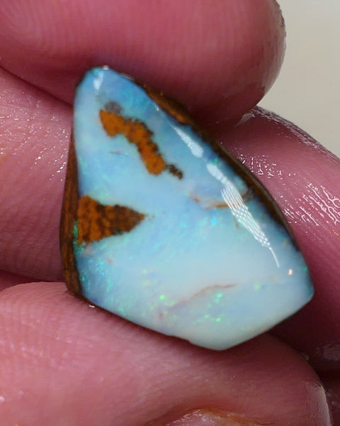 Queensland Boulder opal 13cts rough / rub Koroit Faced with Blues & Green fires 20x15x10mm 0604