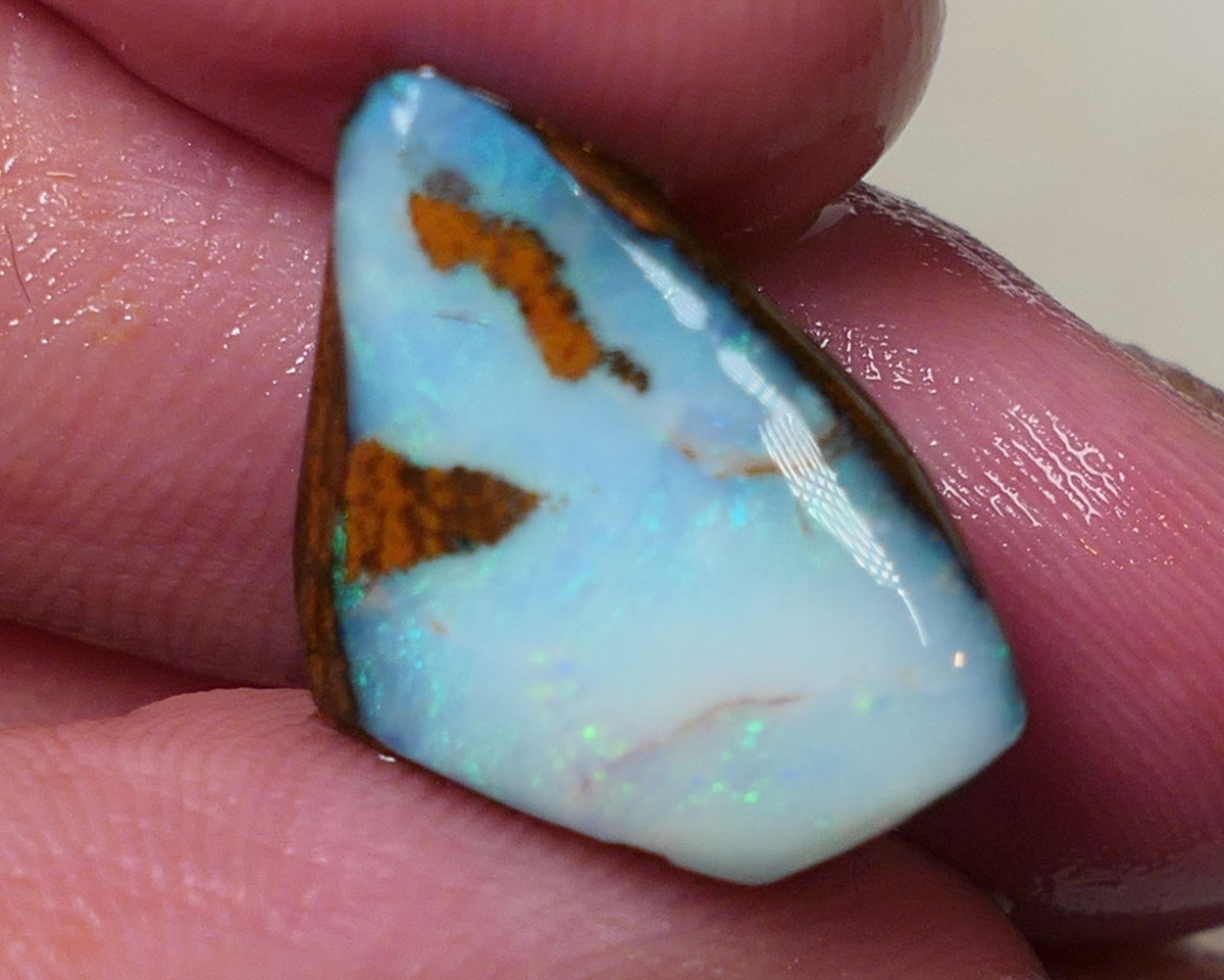 Queensland Boulder opal 13cts rough / rub Koroit Faced with Blues & Green fires 20x15x10mm 0604