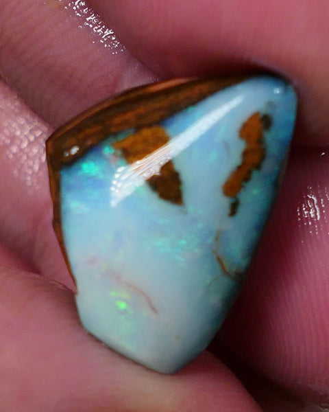 Queensland Boulder opal 13cts rough / rub Koroit Faced with Blues & Green fires 20x15x10mm 0604