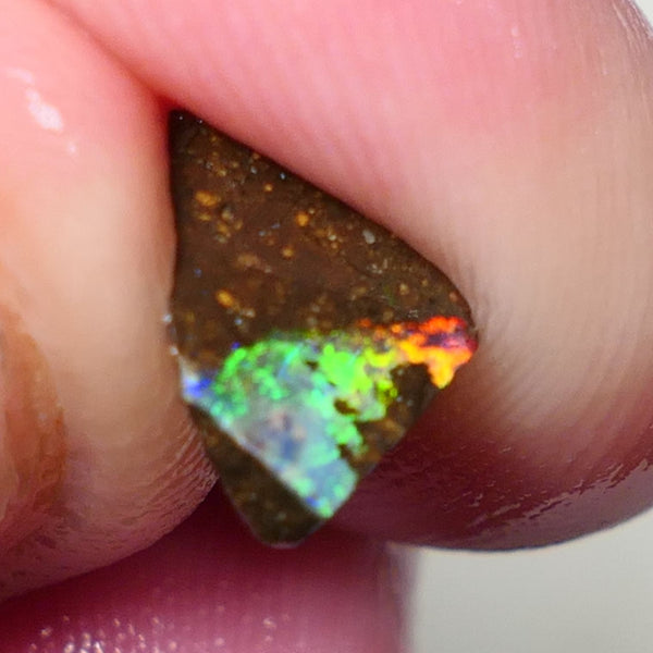 Queensland Boulder Boulder opal 5cts rough / Rubs Winton Bright Electric Multifires 13x9x3mm & 6x4x3mm 0606