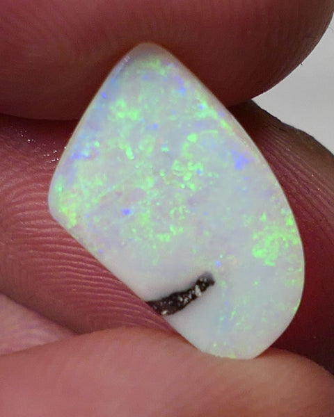 Winton Boulder Pipe Opal Gemstone 3.55cts Jewellery Grade  N8 Body Tone B3 Brightness Stunning Display of Bright floral Confetti Multifires 14x10x3mm 0620