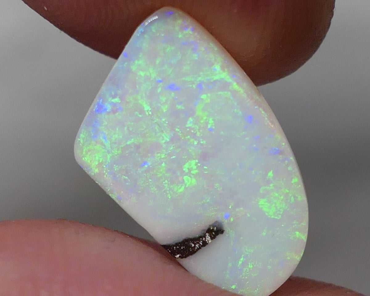 Winton Boulder Pipe Opal Gemstone 3.55cts Jewellery Grade  N8 Body Tone B3 Brightness Stunning Display of Bright floral Confetti Multifires 14x10x3mm 0620