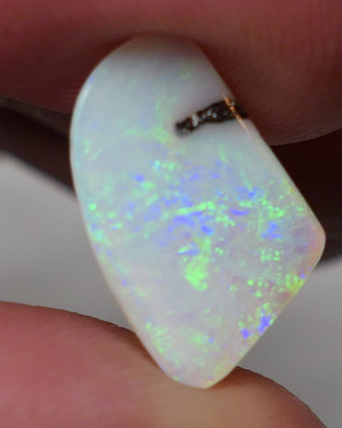 Winton Boulder Pipe Opal Gemstone 3.55cts Jewellery Grade  N8 Body Tone B3 Brightness Stunning Display of Bright floral Confetti Multifires 14x10x3mm 0620