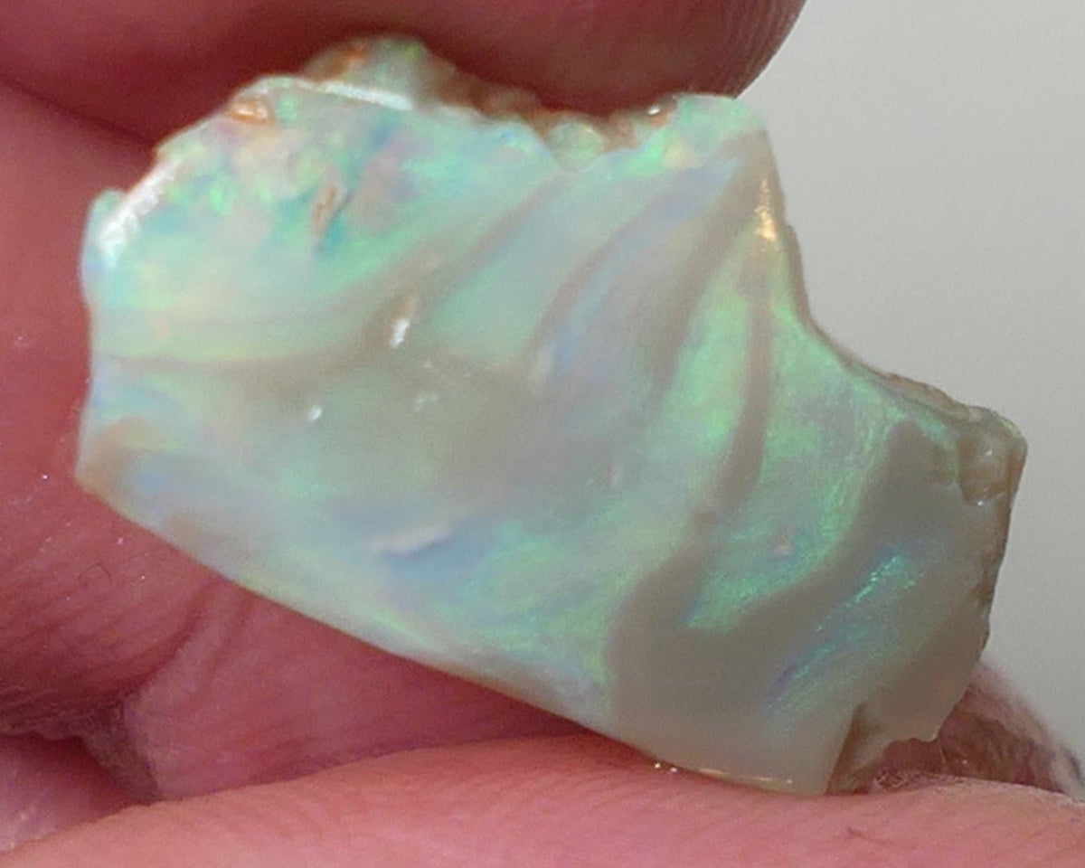 Opal Fever Mate Auction