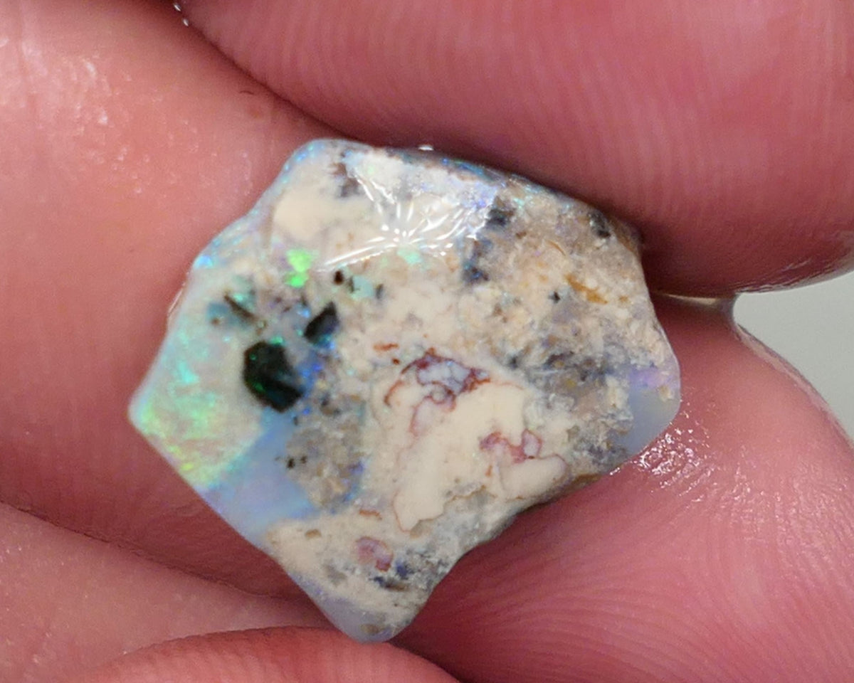 Lightning Ridge Opal Crystal Seam formations Rough Rub Pair  10ct some Blue & Green colours 15x14x4mm & 15x13x3mm 0630