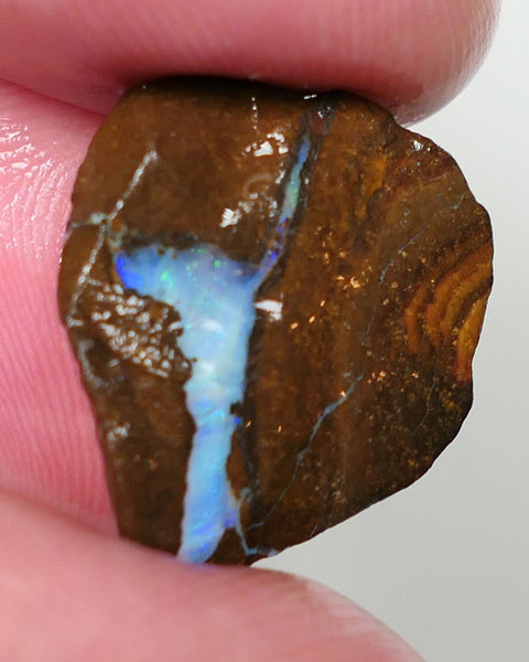 Queensland Boulder Matrix opal 7.5cts rough / rub Winton Blues & Green fires in the veins 20x15x3mm 0624