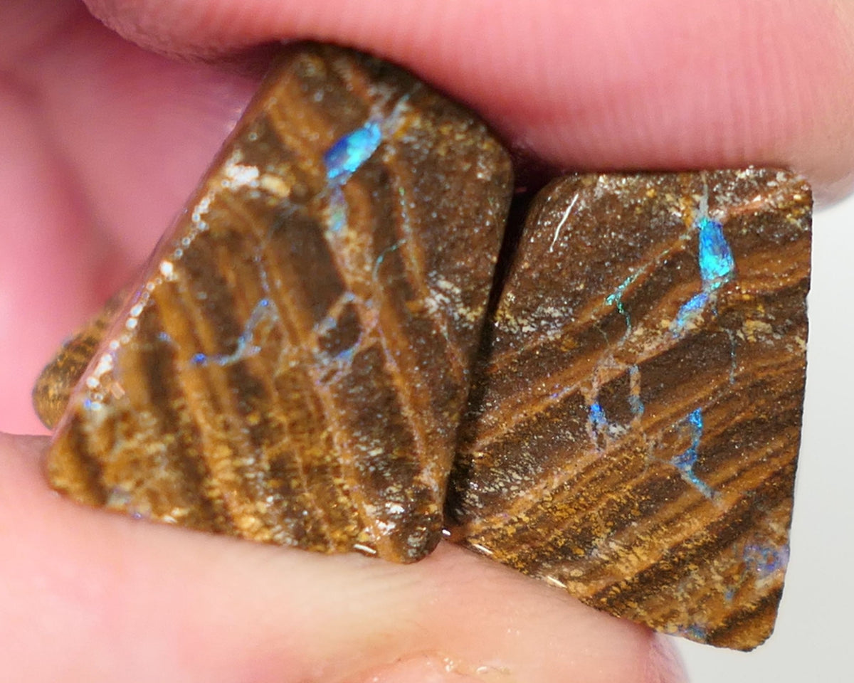 Queensland Boulder Boulder opal 33cts rough / Split Winton showing some nice colours 18x15x9m to 16x14x12mm 0627