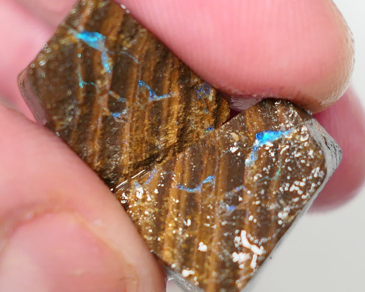 Queensland Boulder Boulder opal 33cts rough / Split Winton showing some nice colours 18x15x9m to 16x14x12mm 0627