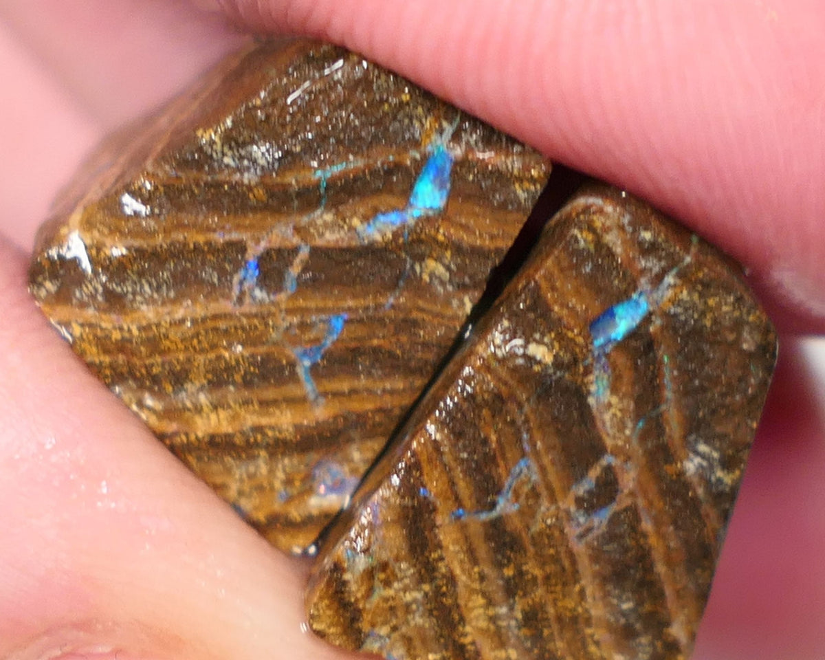 Queensland Boulder Boulder opal 33cts rough / Split Winton showing some nice colours 18x15x9m to 16x14x12mm 0627