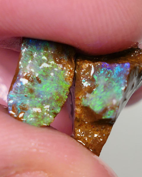 Queensland Boulder Boulder opal 15.5cts rough / Split Winton Green dominant Multifires 20x14x10mm & 11x7x6mm 0628