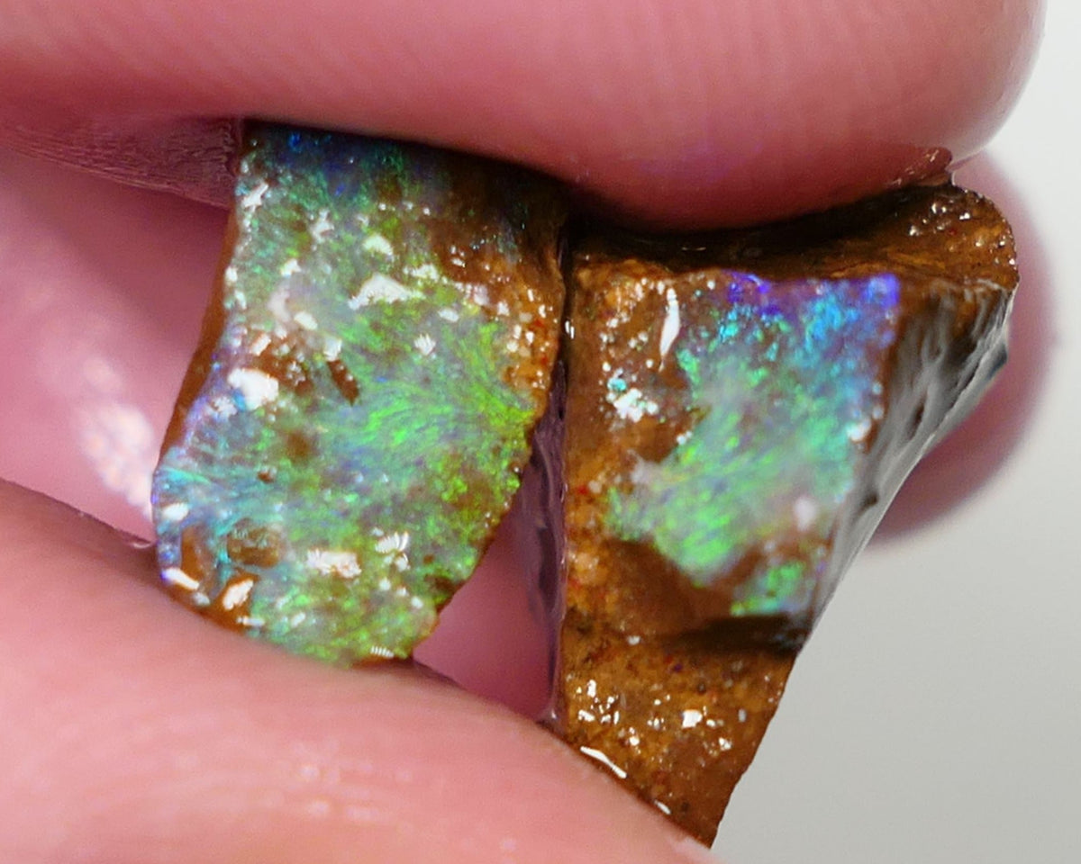 Opal Fever Mate Auction