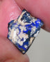 Lightning Ridge Rough Opal 7cts Black Base Gamble Seam Very Bright Royal Blues showing 15x11x7mm 0629