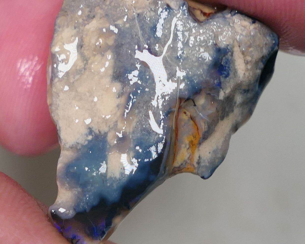 Lightning Ridge Rough Opal 23cts Black / Dark Base Gamble Seam Bits Blues in the bar 27x20x12mm 0636