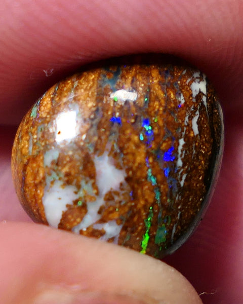 Winton Boulder Matrix Opal Gem stone 7.10cts Jewellery Grade N5 Body Tone B3 Brightness Stunning Display of Bright Blue Yellow & greens Fires 12.5x11.x6.4mm FB04