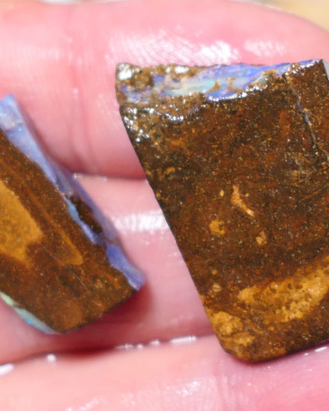 Queensland Boulder Boulder opal 47cts rough / Split Winton showing some colours 30x20x5mm & 22x12x5mm 0632