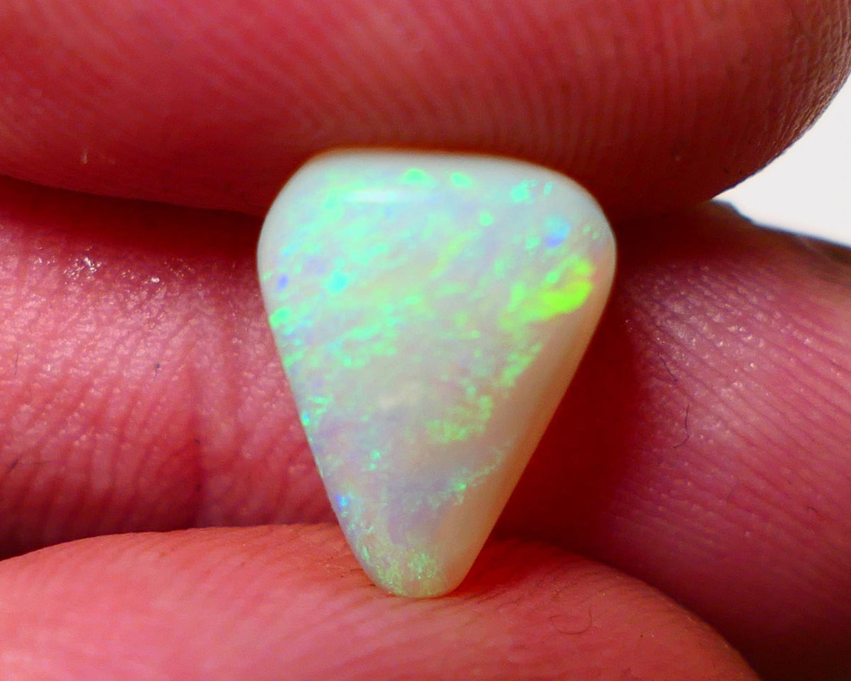 Opal Fever Mate Auction