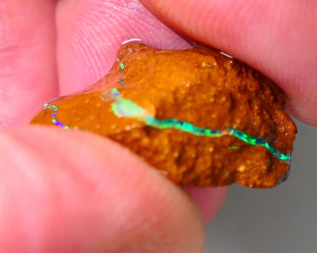 Queensland Boulder Matrix opal 20cts rough Winton Amazing very Unique & Bright colour in veins  18x15x10mm WAE11