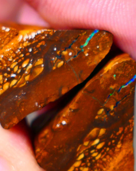 Queensland Boulder Matrix opal 74cts rough Winton  Bright colours in veins 20x15x15mm & 20x15x13mm WAE13