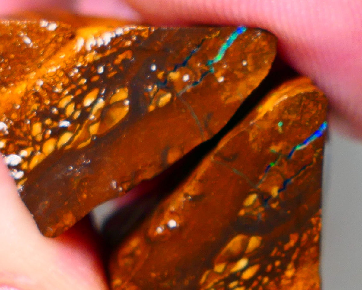 Queensland Boulder Matrix opal 74cts rough Winton  Bright colours in veins 20x15x15mm & 20x15x13mm WAE13