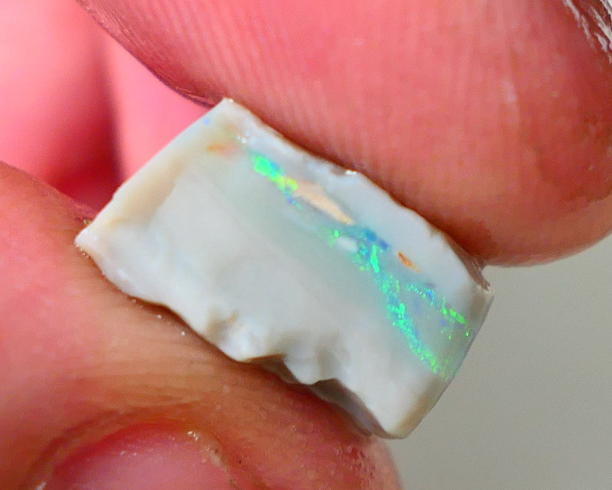 Lightning Ridge Rough Opal 9.75cts Gem Select Dark Base Seam Loaded with Multifires & some Red/orange in the bar 15x13x7mm WAE20