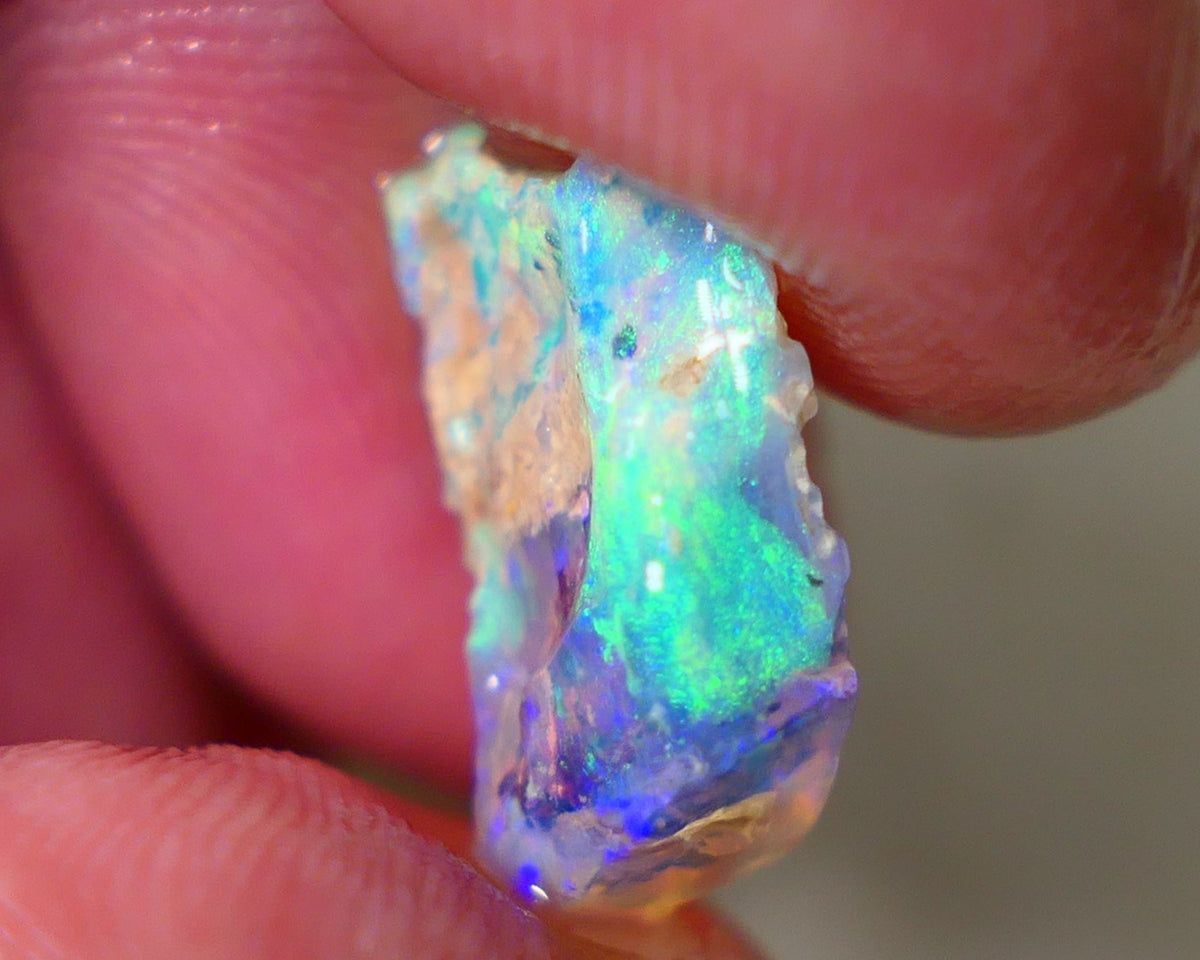 Opal Fever Mate Auction