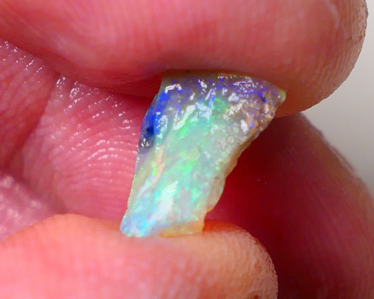 Lightning Ridge Opal Rough Tiny But truly Amazing Opalised Fossil 1.7cts Bright Exotic Multicolours 10x7x3mm 0664