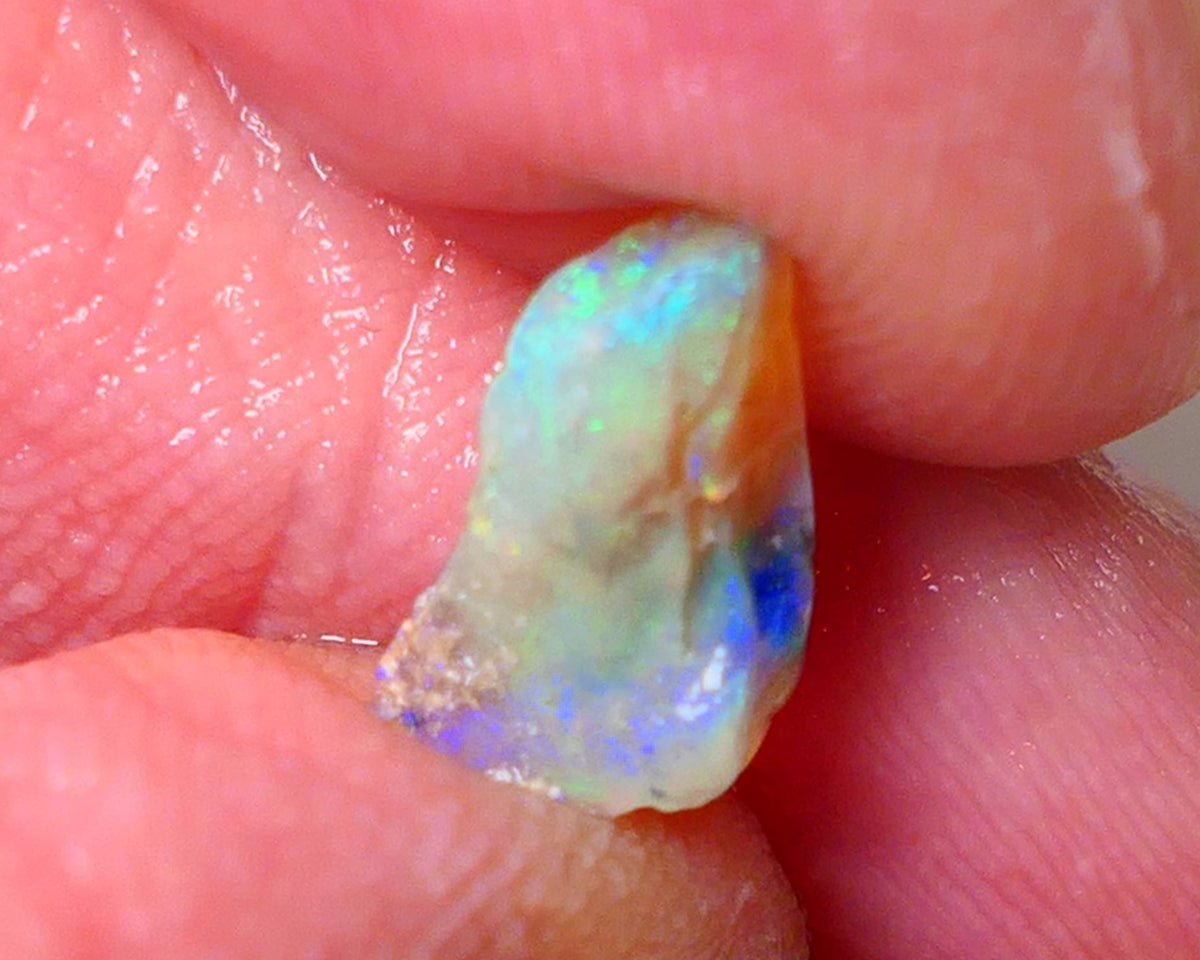 Lightning Ridge Opal Rough Tiny But truly Amazing Opalised Fossil 1.7cts Bright Exotic Multicolours 10x7x3mm 0664