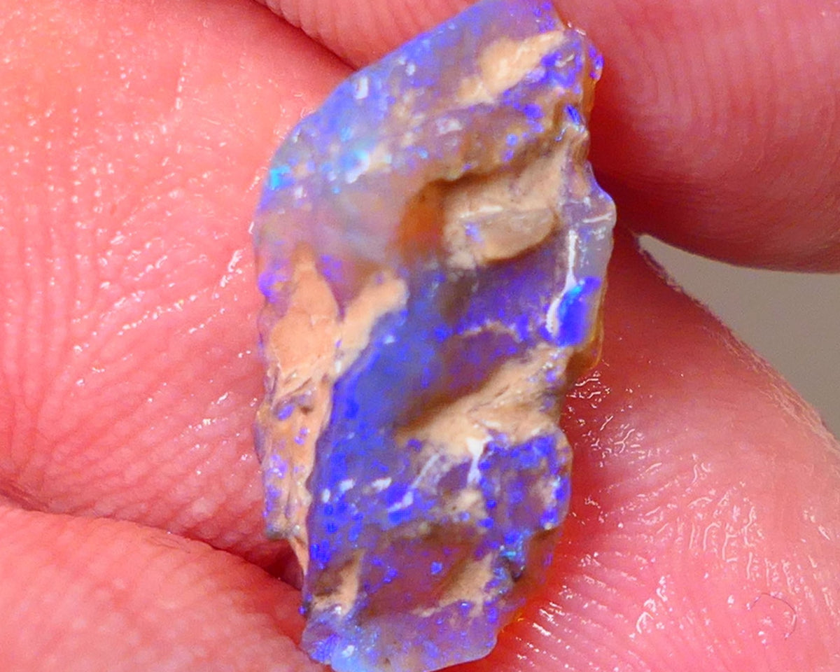Lightning Ridge Opal Rough nice Opalised Wood Fossil 3.80cts Bright Colours 19x10x4mm 0665
