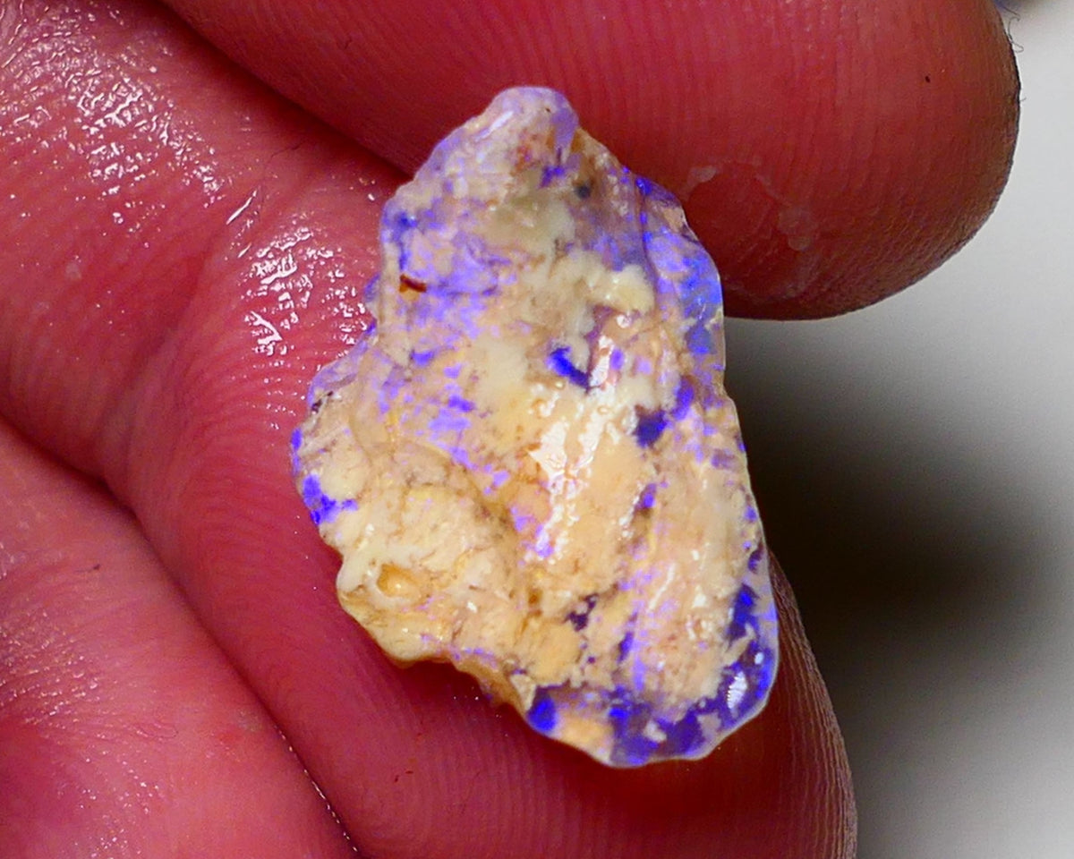 Lightning Ridge Opal Rough nice Opalised Wood Fossil 6cts Bright Blue Colours 2012x7mm 0704