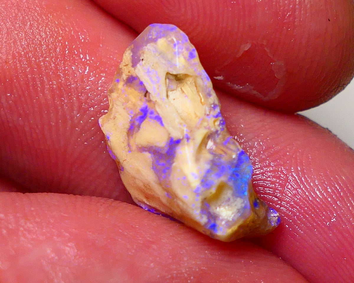 Lightning Ridge Opal Rough nice Opalised Wood Fossil 6cts Bright Blue Colours 2012x7mm 0704